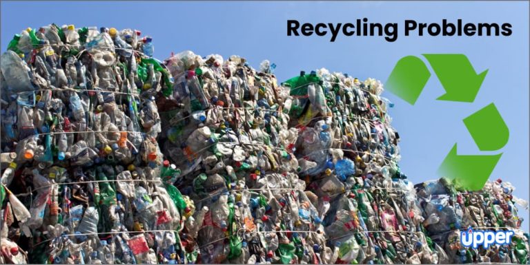 Recycling Problems Solved: Expert Guide to Fixing the Recycling Crisis