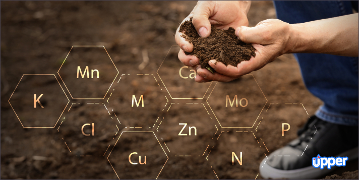 Enriching soil quality