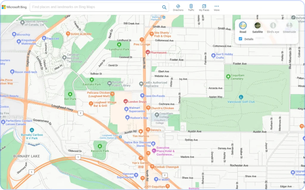 Bing Maps: Best for standard mapping with multiple map styles